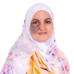 Wafae Tahtah, Chief Engineer, Touch Media